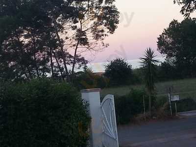 Foto 66092617