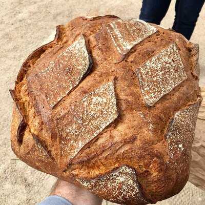 Lastre Sans Apostrophe