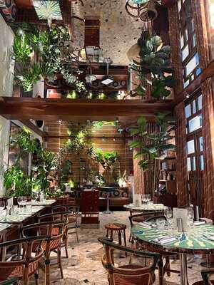 Petit Victor Hugo (pvh)