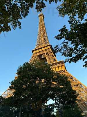 Starbucks - Opera 26