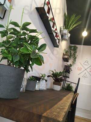 Chasseurs Cueilleurs