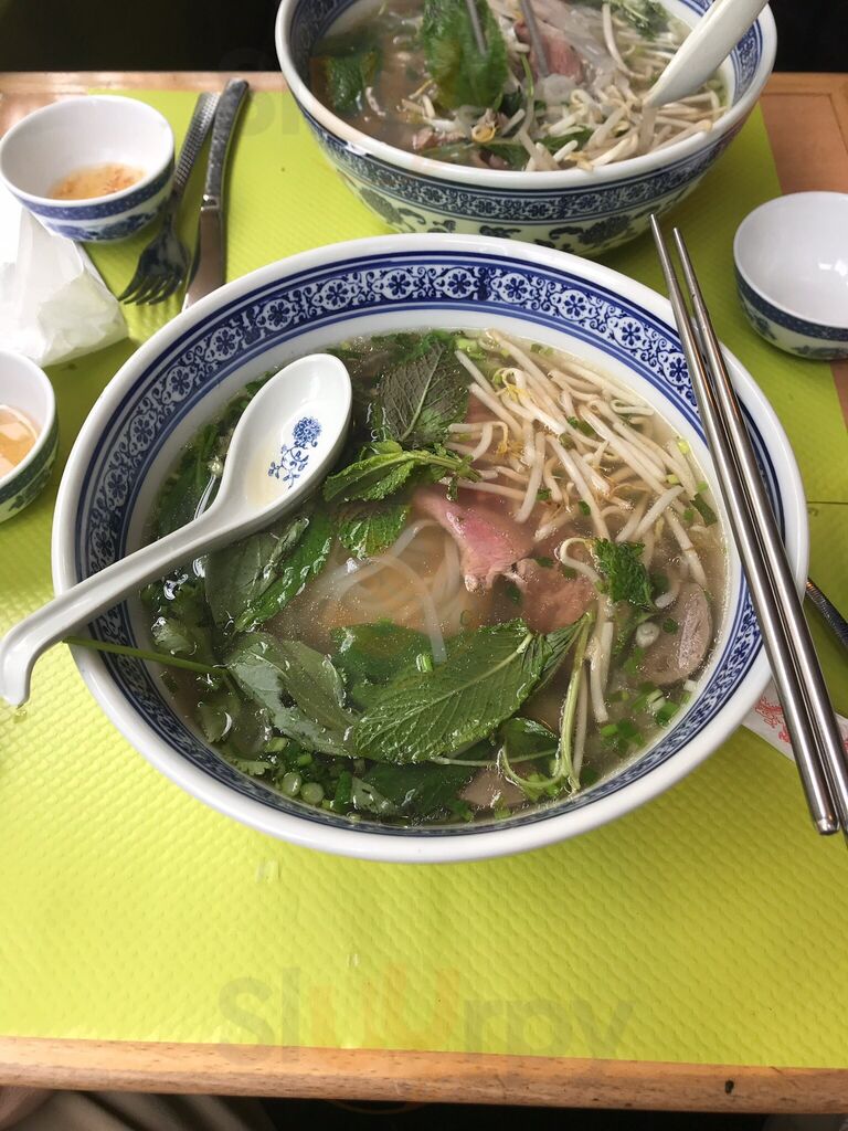 Le Phénix Du Vietnam