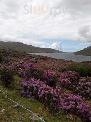 Brasserie Le Réveil