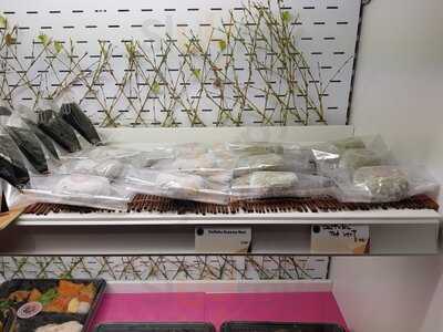 Hana Bento Jeu De Paume