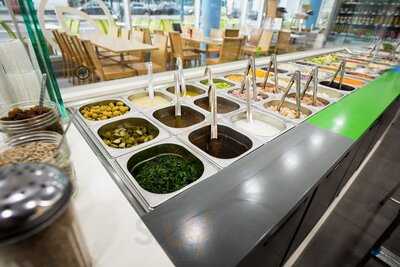 Mongoo Pierre Mendès France