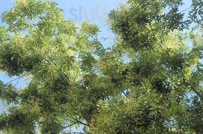 Foto 32213929