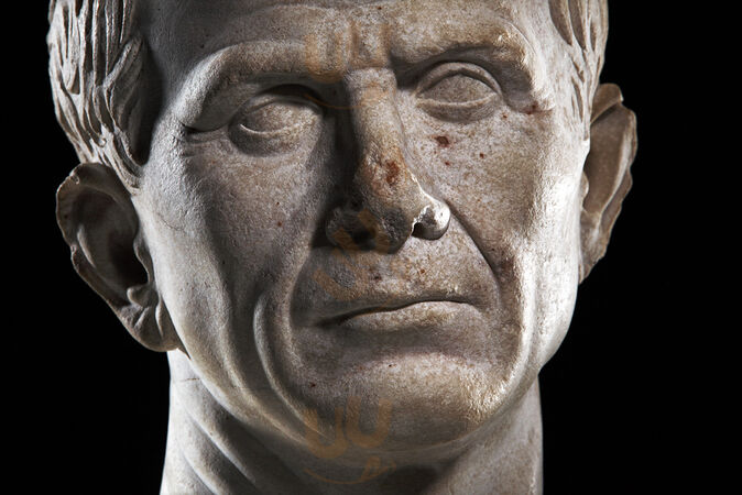 Musée Départemental Arles Antique