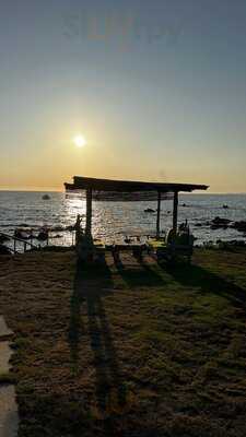 Foto 65776068