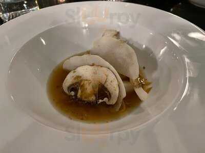 Mordu Saint Germain Des Prés