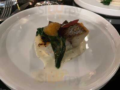 Mordu Saint Germain Des Prés