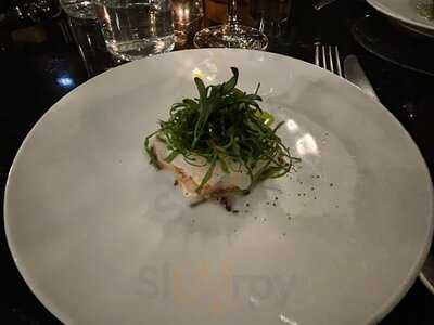 Mordu Saint Germain Des Prés