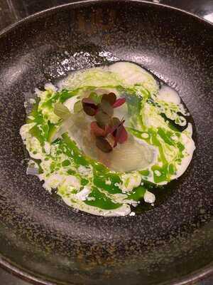 Mordu Saint Germain Des Prés