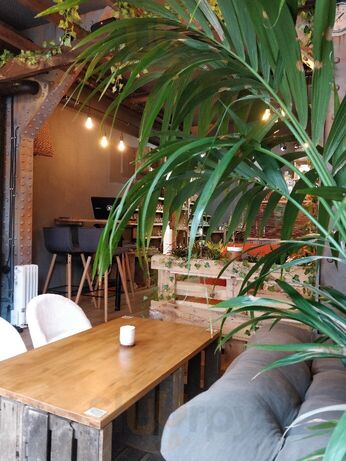 Tea Shop & Co.