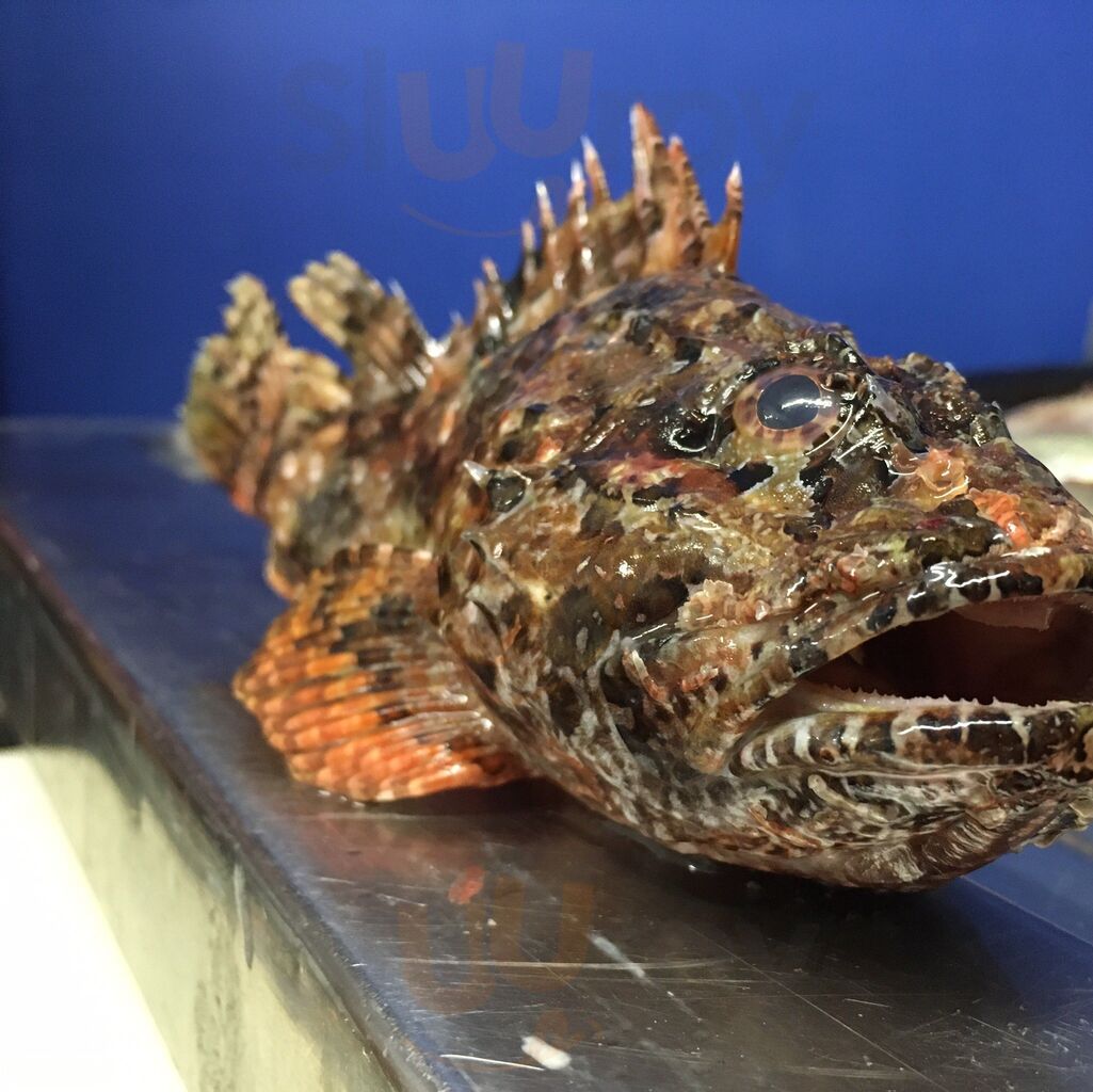 Antibes Bouillabaisse