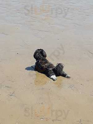 Foto 66206930
