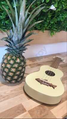 Wellbowl - Poke Bowl