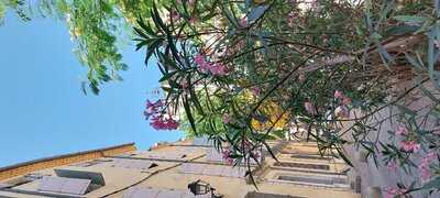 Foto 65823263