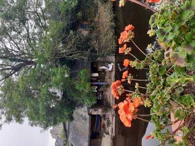 Foto 53935747