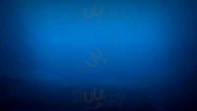 Foto 66220917