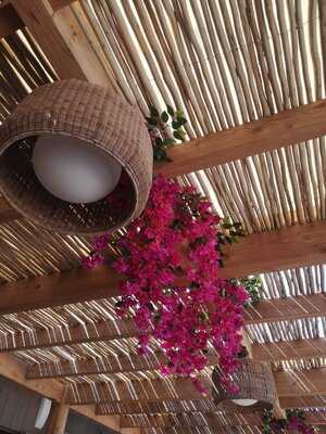 La Villa Plage Calvi 