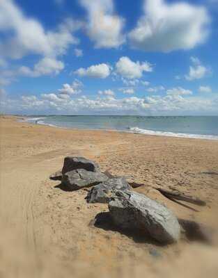 Foto 54003435