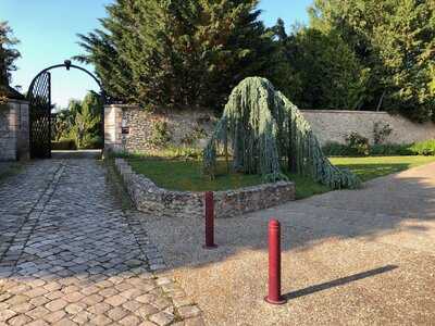 Foto 54007375