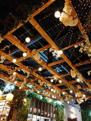 Foto 54009093