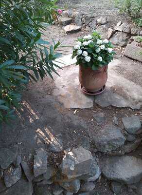 Foto 54009431