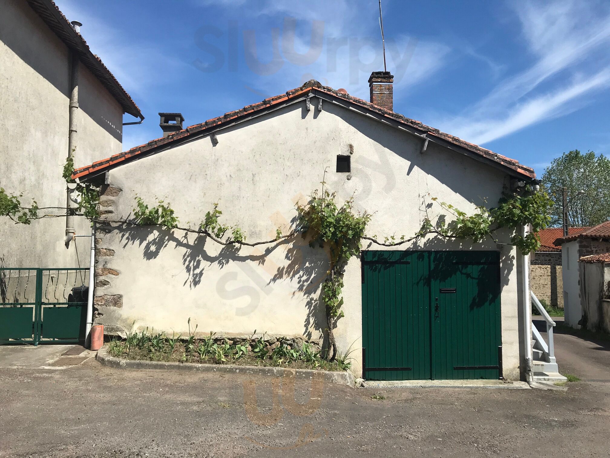 Chez Naomi
