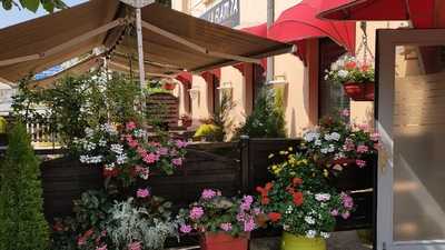 Foto 66250464