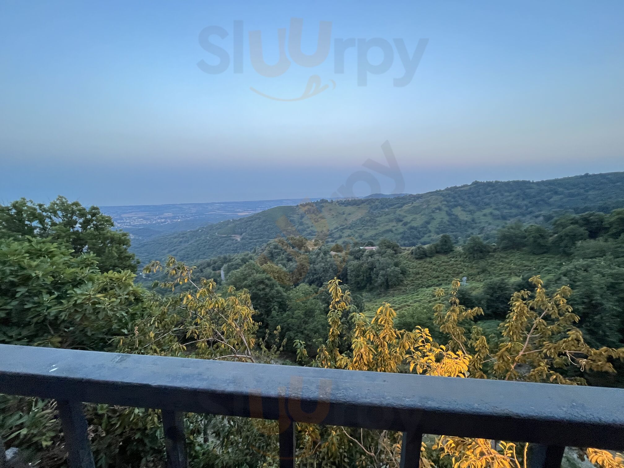 Alta Vista