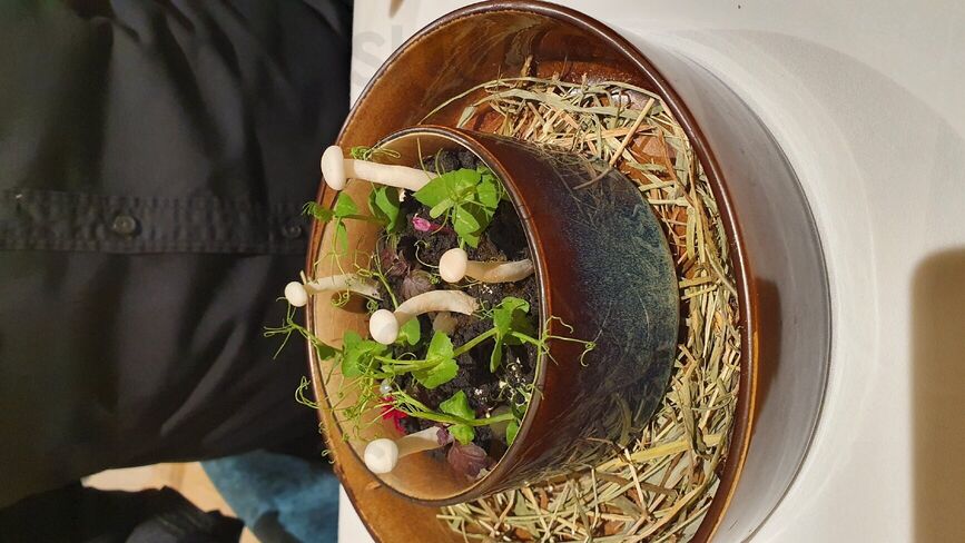 Cabosse Le Restaurant Du Petit Atelier