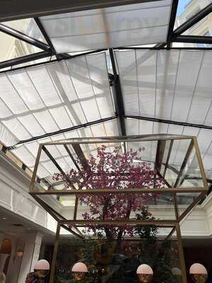 Foto 65870692