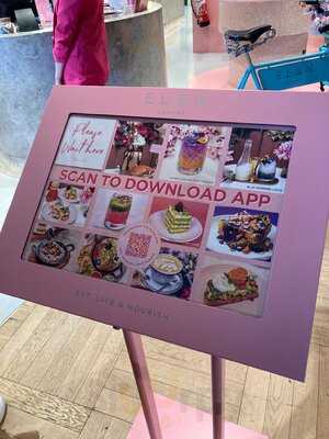 El&n Paris Galeries Lafayette Haussmann