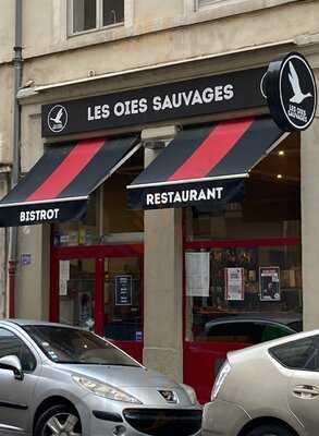 Les Oies Sauvages