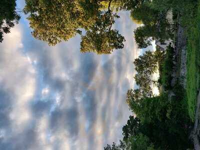 Foto 53444953