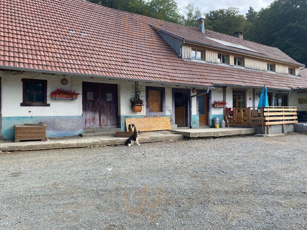 Ferme Auberge Du Baerenbach