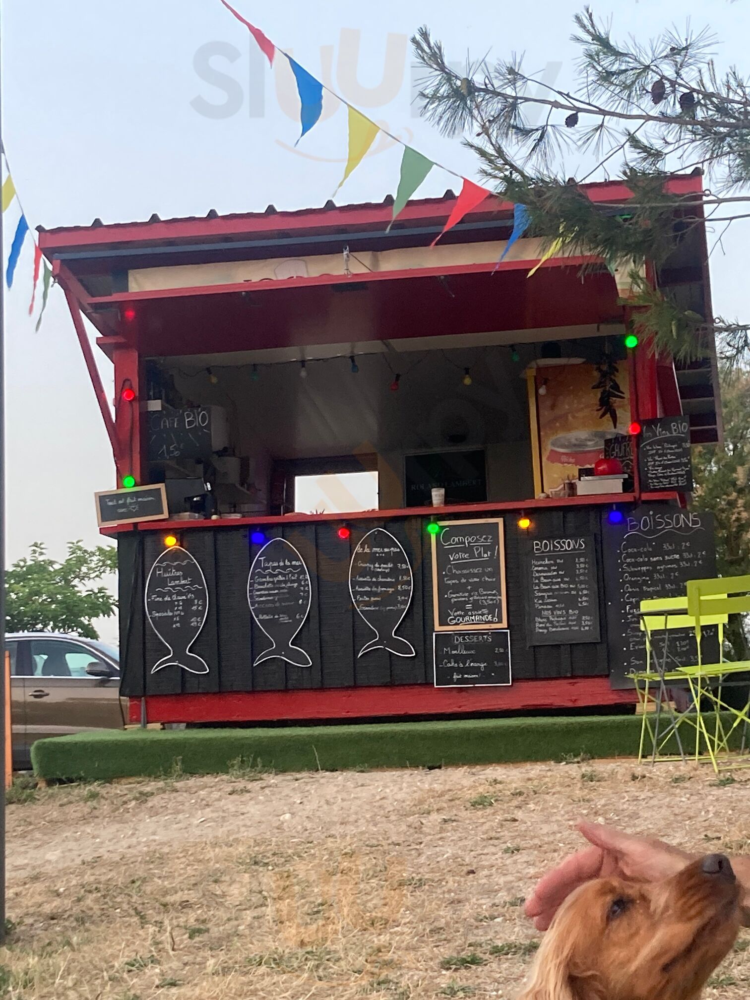 Toc À Dom À La Plage