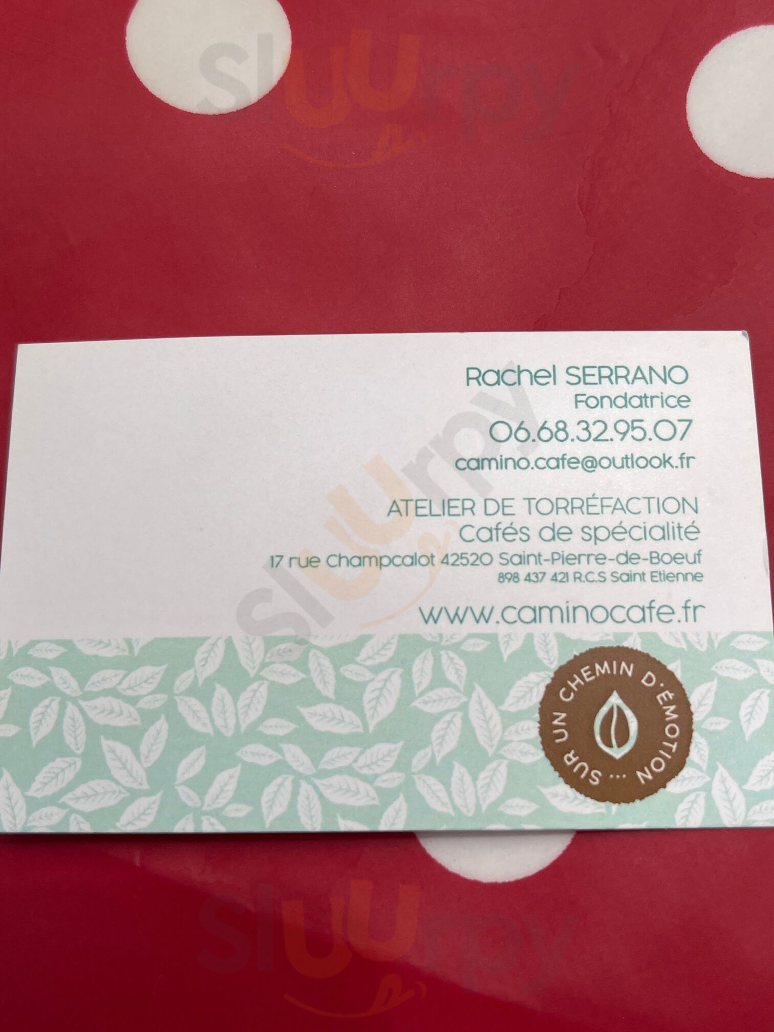 Camino Cafe Artisan Torrefacteur