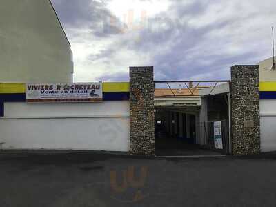 Foto 66313131