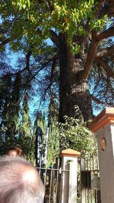 Foto 53457747