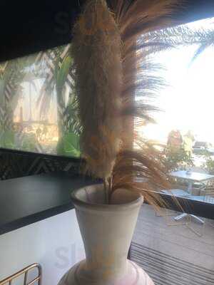 Foto 65914013