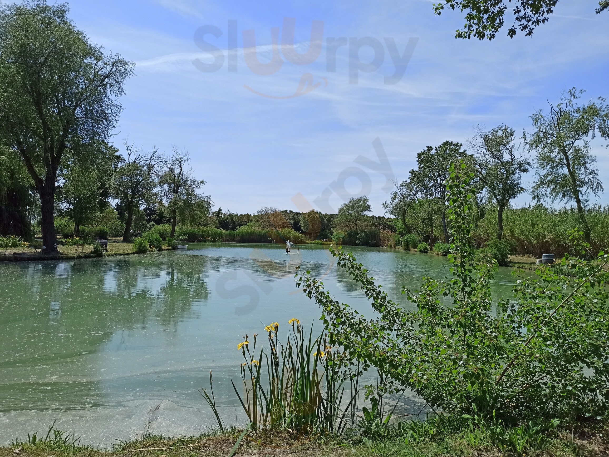 Domaine Des Étangs En Camargue