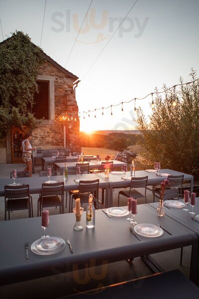 Chez Paul & Tout