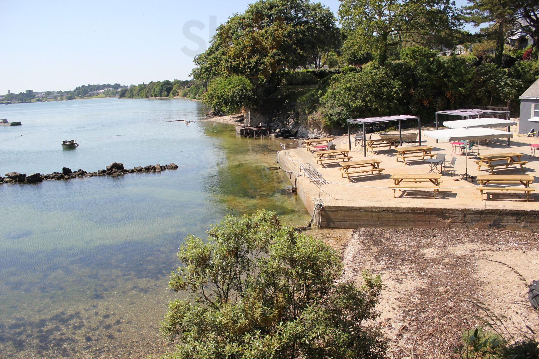 Les Huîtres De L'île De Gavrinis