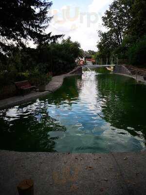 Foto 63551467