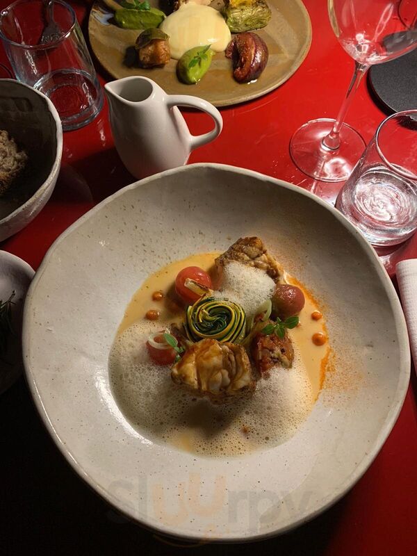 Frenchie Biarritz