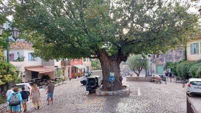 Foto 63557733