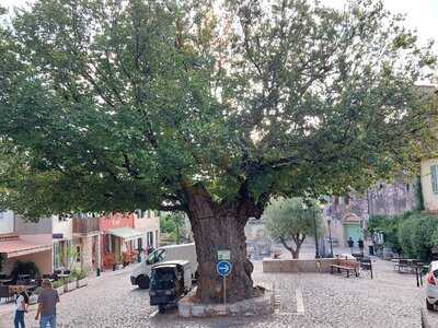 Foto 63557737