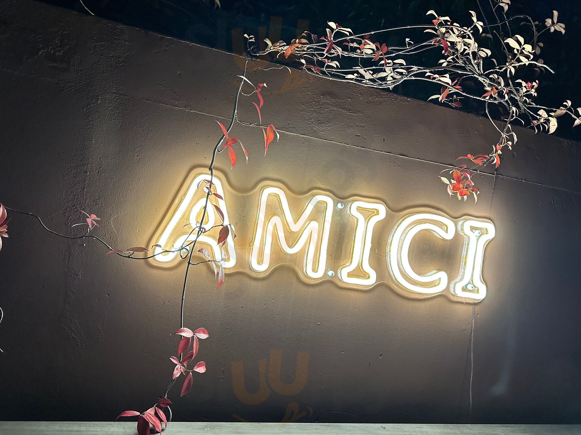 Amici 